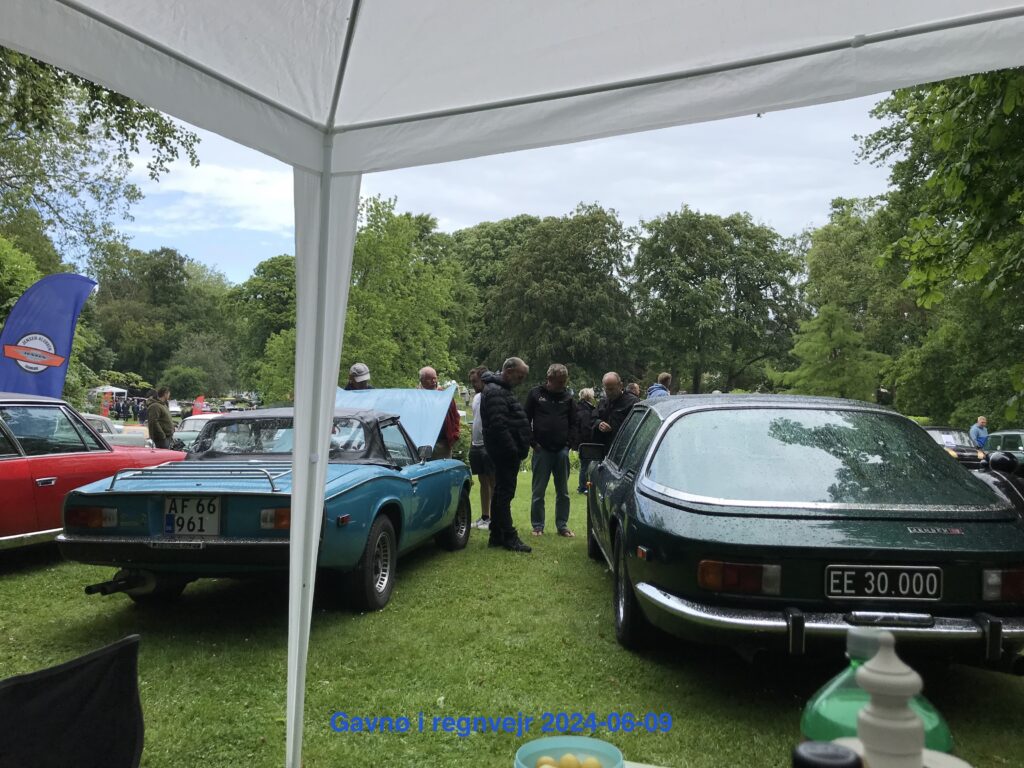 Jensen cars at Gavnø